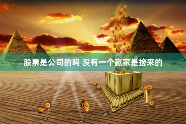 股票是公司的吗 没有一个赢家是捡来的