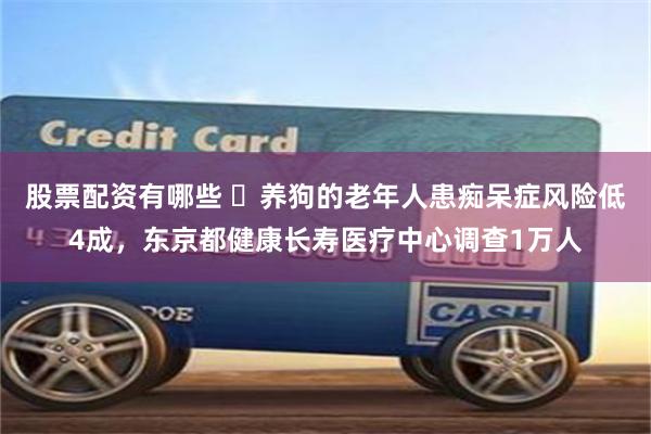 股票配资有哪些 ​养狗的老年人患痴呆症风险低4成，东京都健康长寿医疗中心调查1万人