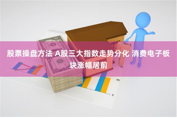 股票操盘方法 A股三大指数走势分化 消费电子板块涨幅居前