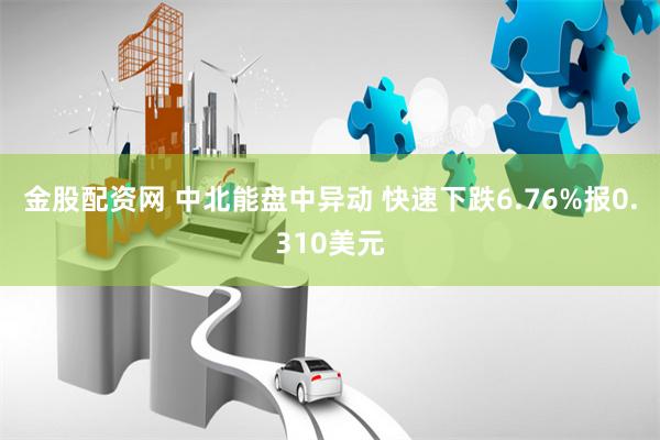金股配资网 中北能盘中异动 快速下跌6.76%报0.310美元