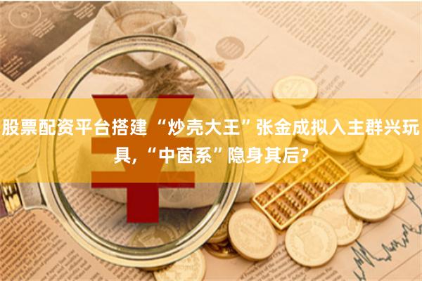 股票配资平台搭建 “炒壳大王”张金成拟入主群兴玩具, “中茵系”隐身其后?