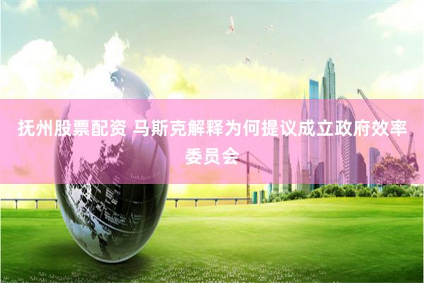 抚州股票配资 马斯克解释为何提议成立政府效率委员会