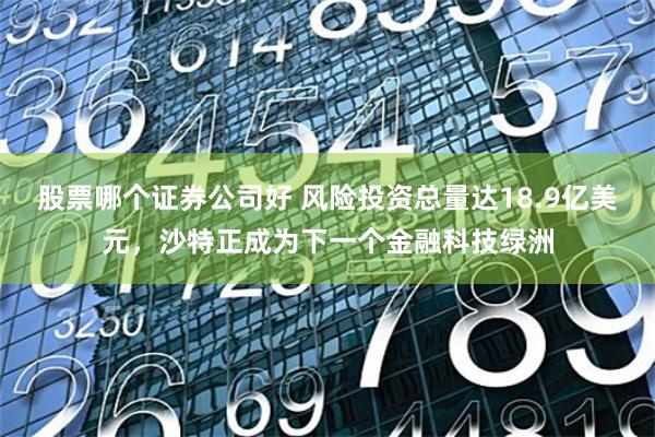 股票哪个证券公司好 风险投资总量达18.9亿美元，沙特正成为下一个金融科技绿洲