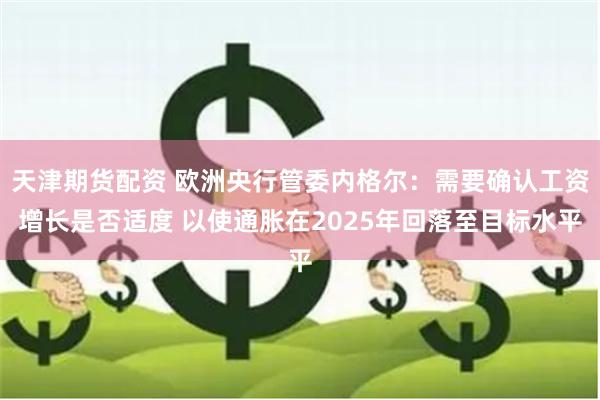天津期货配资 欧洲央行管委内格尔：需要确认工资增长是否适度 以使通胀在2025年回落至目标水平