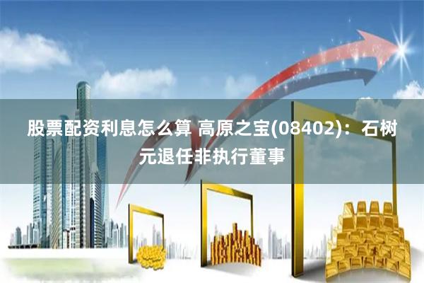 股票配资利息怎么算 高原之宝(08402)：石树元退任非执行董事