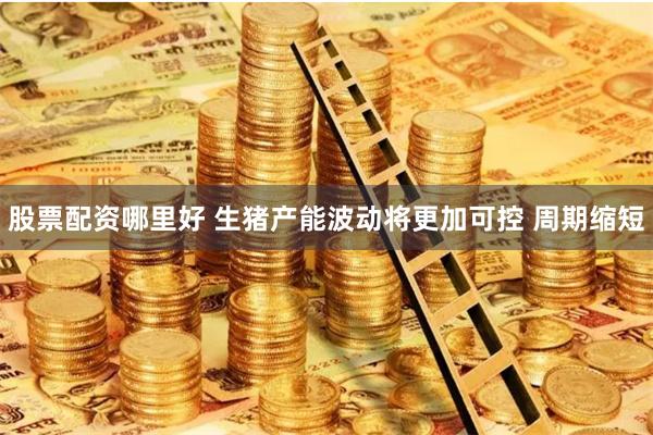 股票配资哪里好 生猪产能波动将更加可控 周期缩短