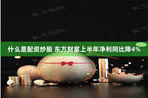什么是配资炒股 东方财富上半年净利同比降4%